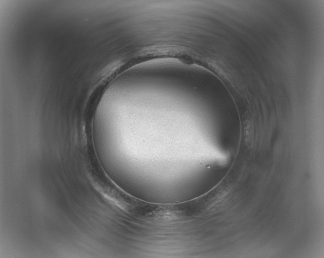 X0000067460254200604071136