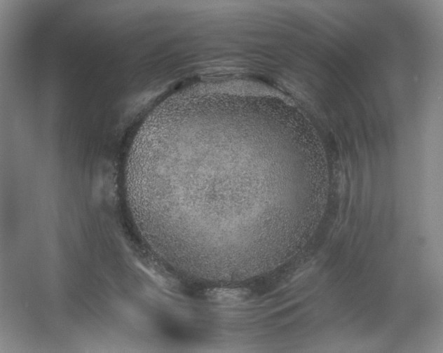 X0000067460255200604071136