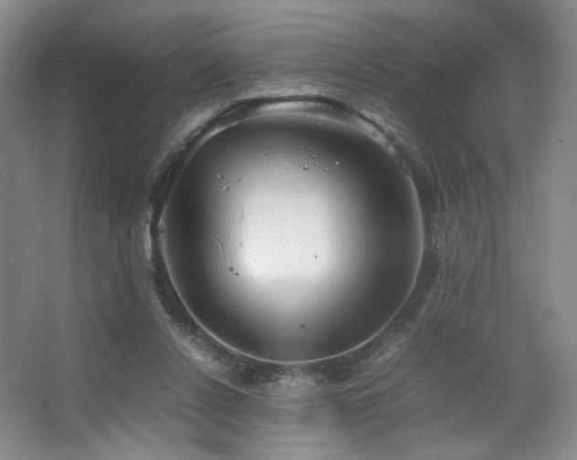 X0000067460256200604071136