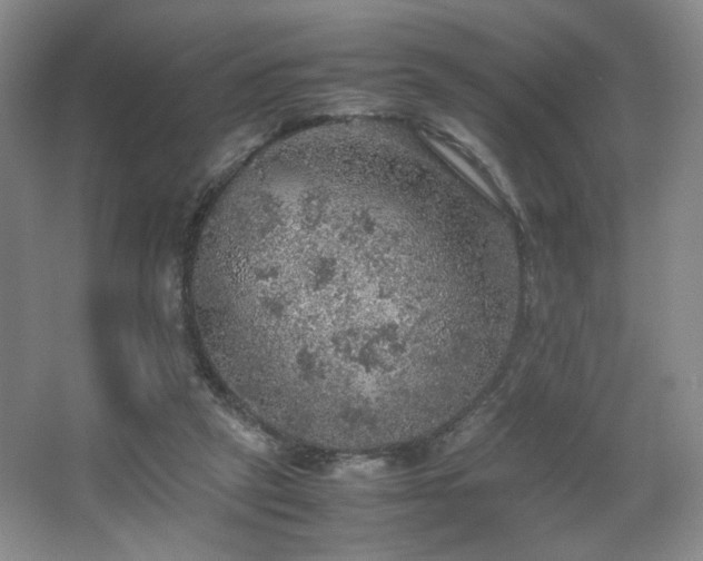 X0000067460257200604071136