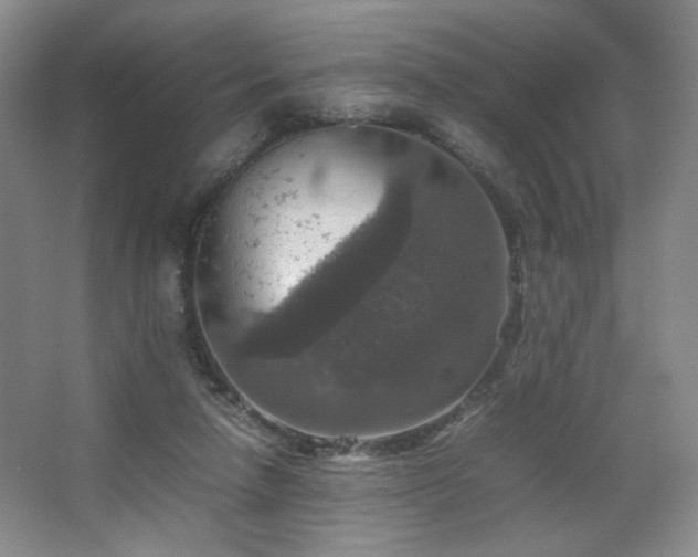 X0000067460258200604071136