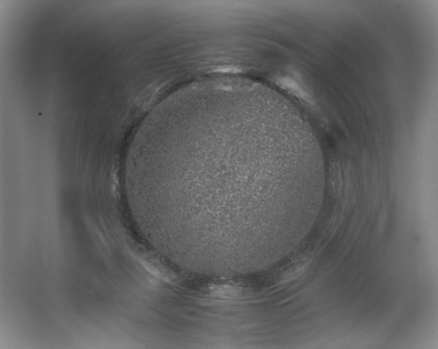 X0000067460259200604071136