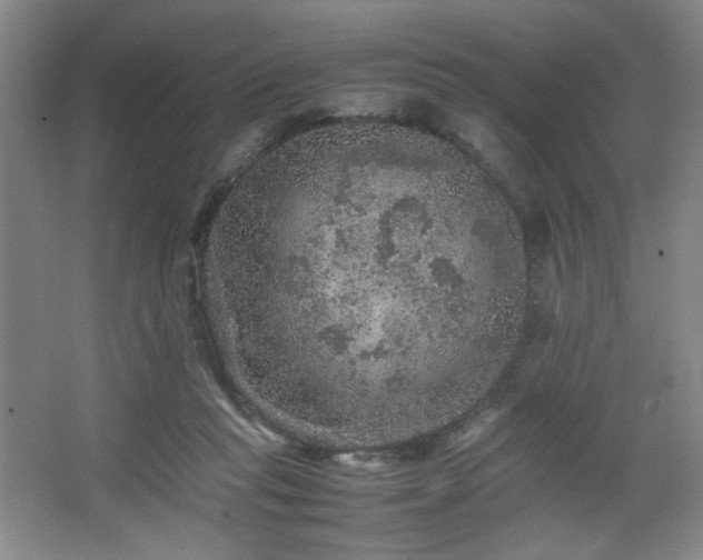 X0000067460261200604071136