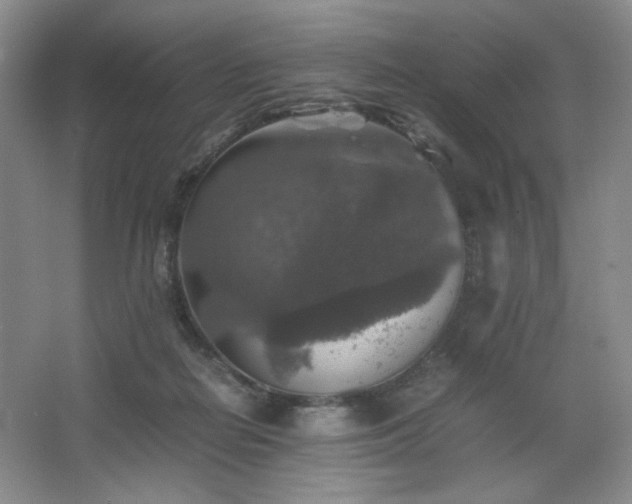 X0000067460266200604071136