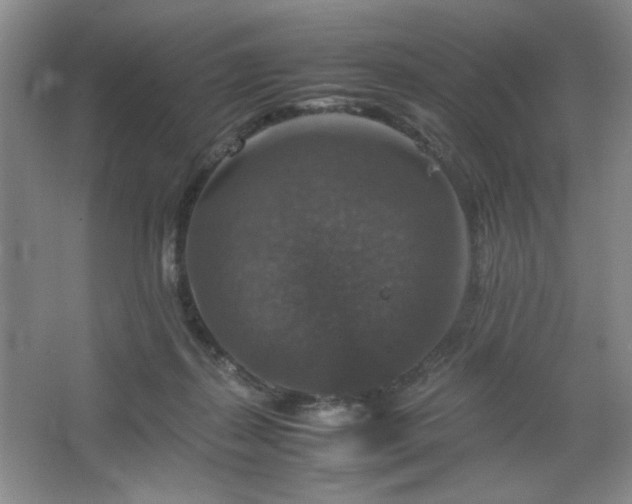 X0000067460267200604071136