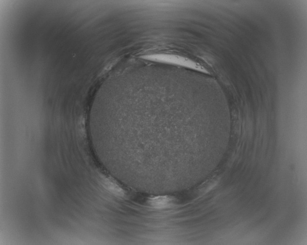 X0000067460269200604071136