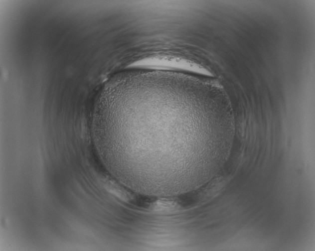 X0000067460270200604071136