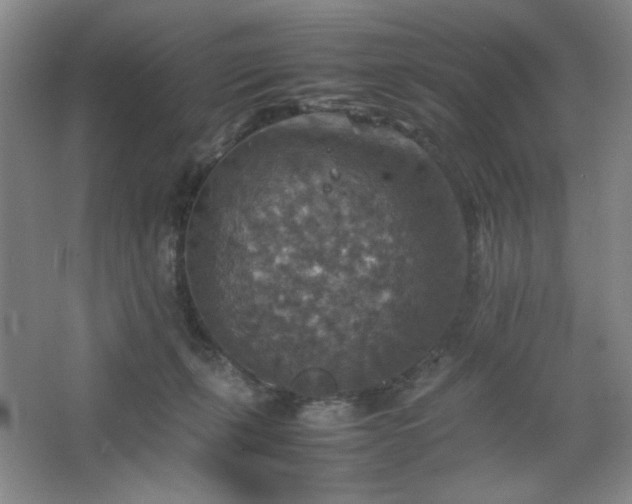 X0000067460271200604071136