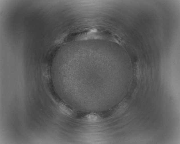 X0000067460272200604071136