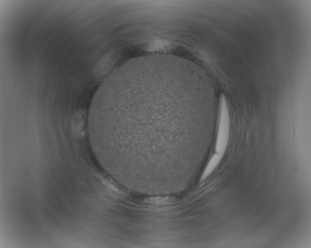 X0000067460273200604071136