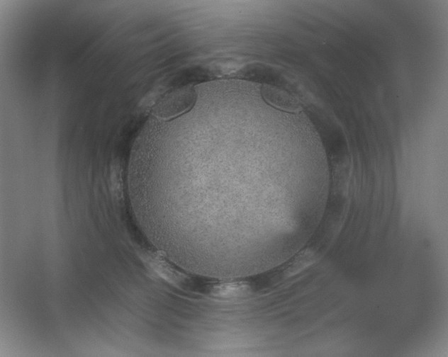 X0000067460274200604071136