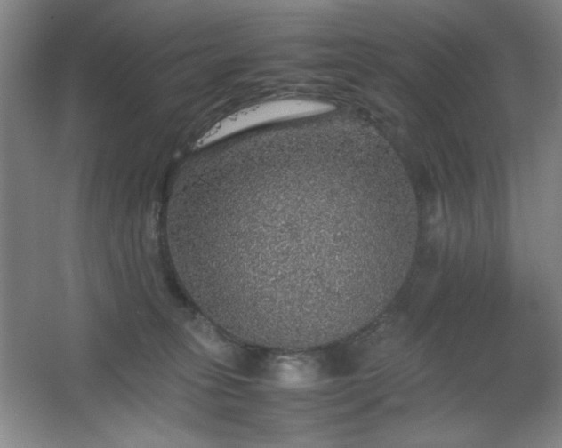 X0000067460275200604071136