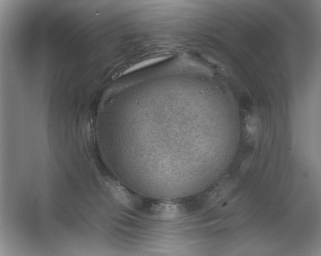 X0000067460276200604071136