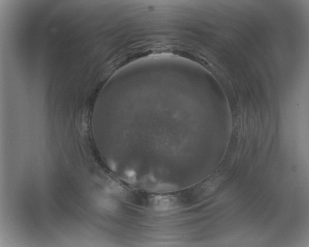 X0000067460277200604071136