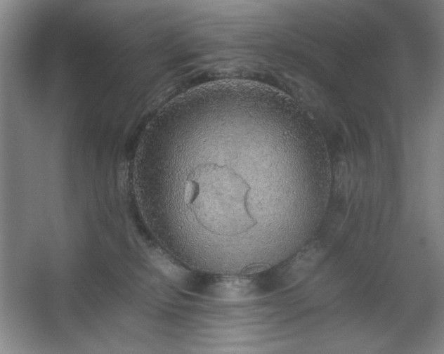 X0000067460278200604071136