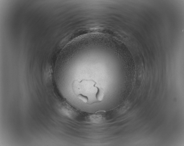 X0000067460279200604071136