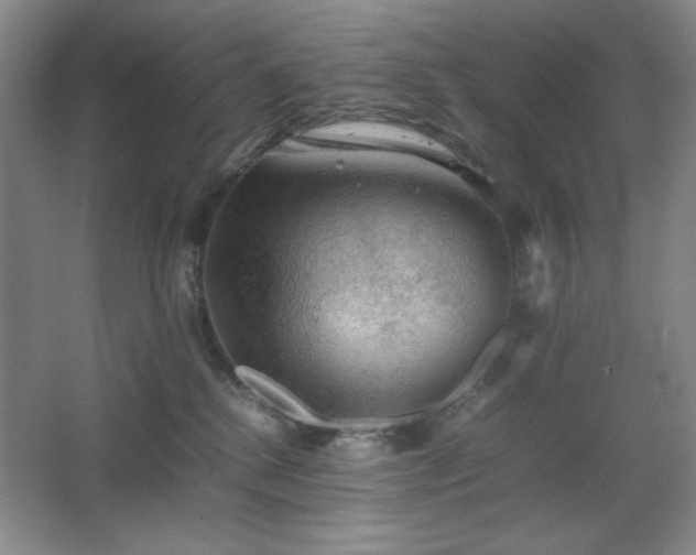 X0000067460280200604071136