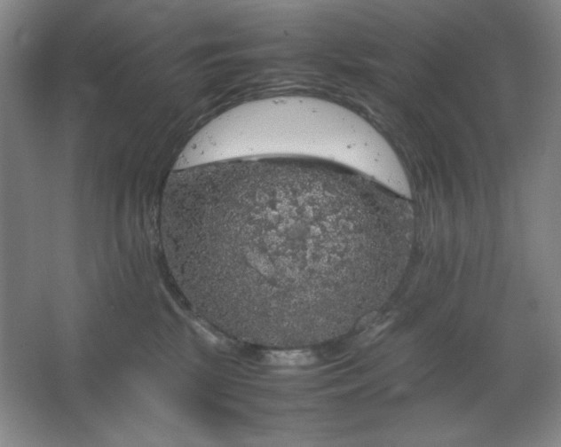 X0000067460281200604071136