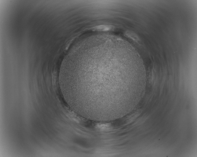 X0000067460283200604071136