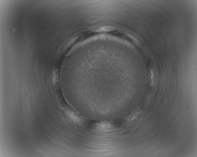 X0000067460284200604071136