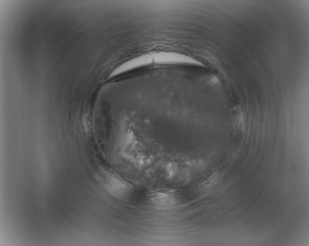 X0000067460285200604071136