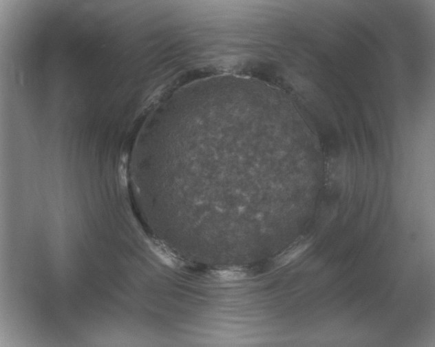 X0000067460286200604071136