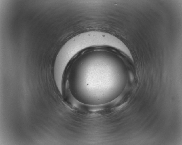 X0000067460287200604071136