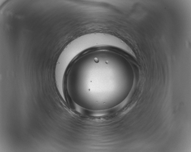 X0000067460288200604071136