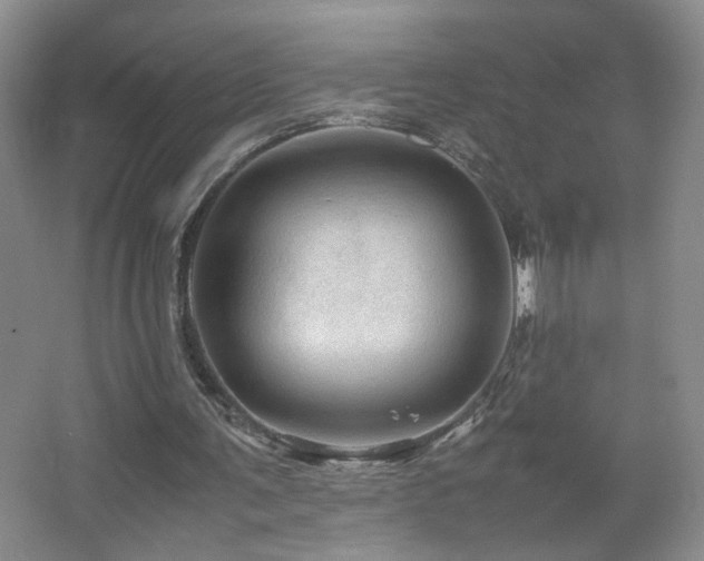 X0000067460291200604071135