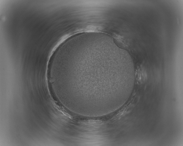 X0000067460292200604071135