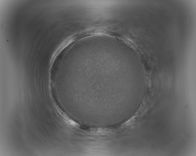 X0000067460293200604071135