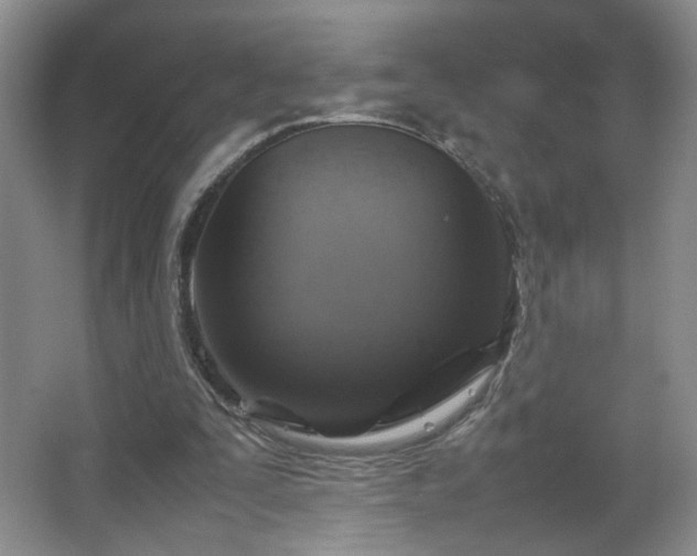 X0000067460295200604071135