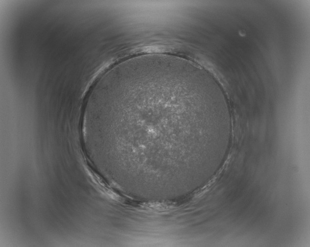 X0000067460297200604071135