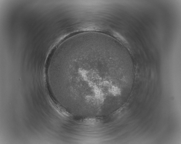 X0000067460298200604071135