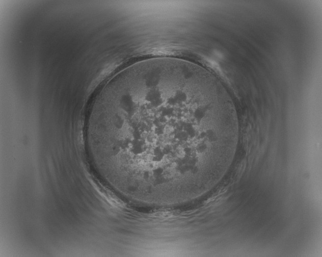 X0000067460299200604071135