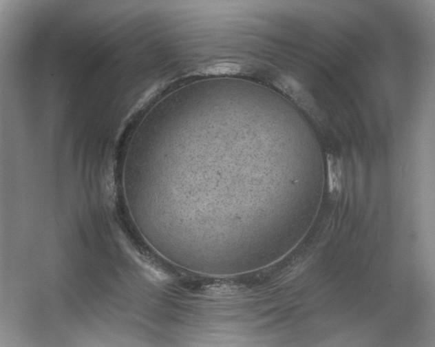 X0000067460300200604071135