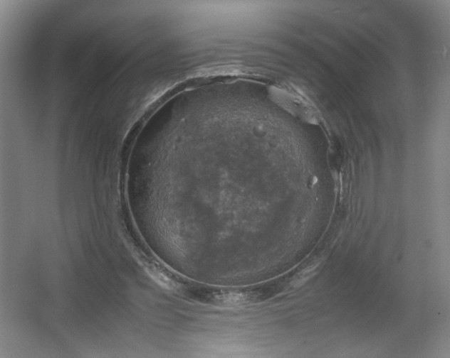 X0000067460301200604071135