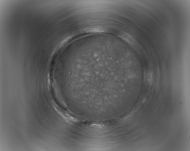 X0000067460302200604071135