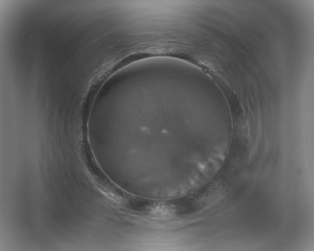 X0000067460303200604071135