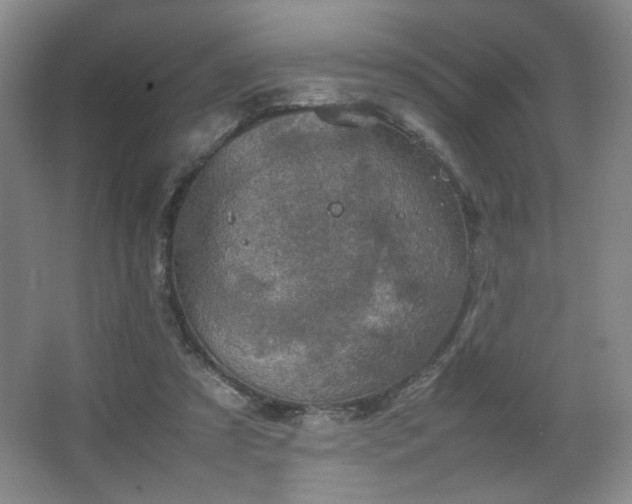 X0000067460305200604071135