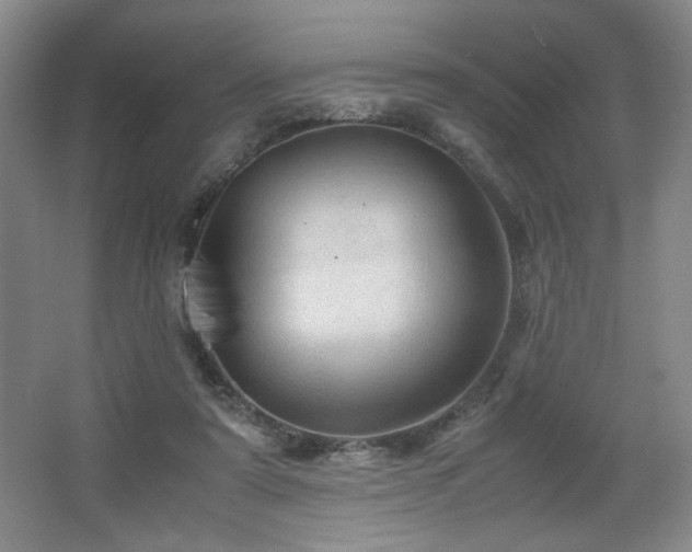 X0000067460307200604071135