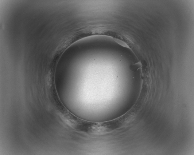 X0000067460311200604071135