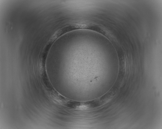 X0000067460312200604071135