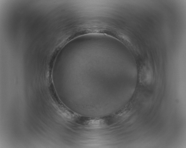 X0000067460314200604071135