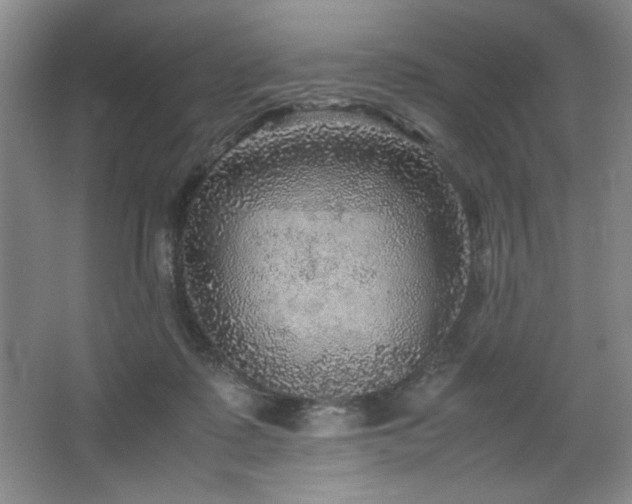 X0000067460315200604071135