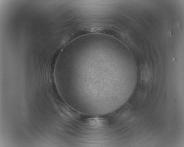 X0000067460316200604071135