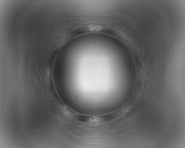 X0000067460321200604071135