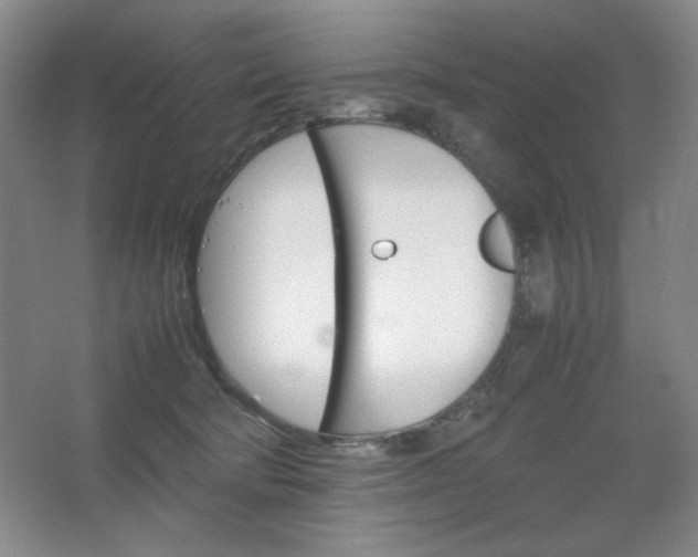 X0000067460322200604071135