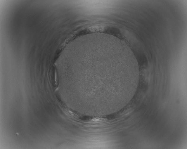 X0000067460323200604071135