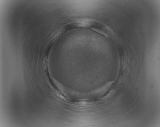 X0000067460325200604071135